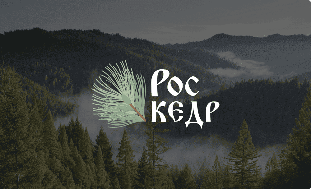 IT-компания Xpage I Сайт производственной компании «Роскедр»