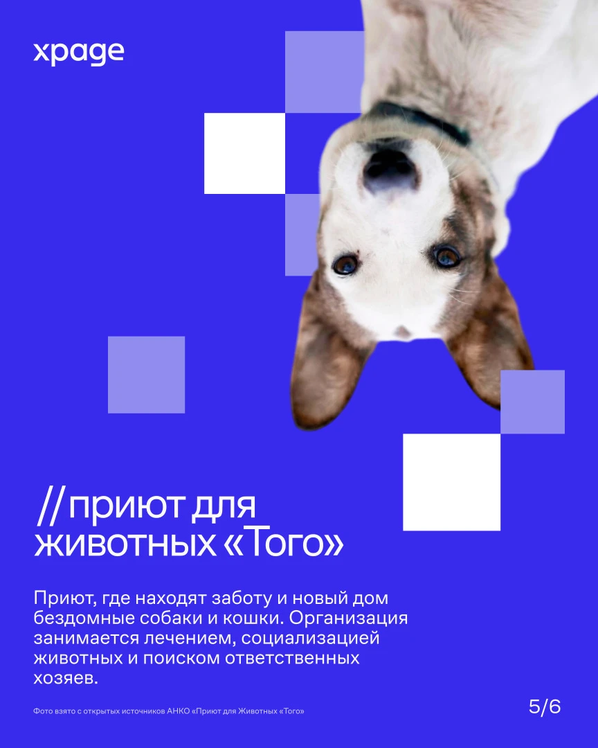 20230933.jpg 20230933.jpg