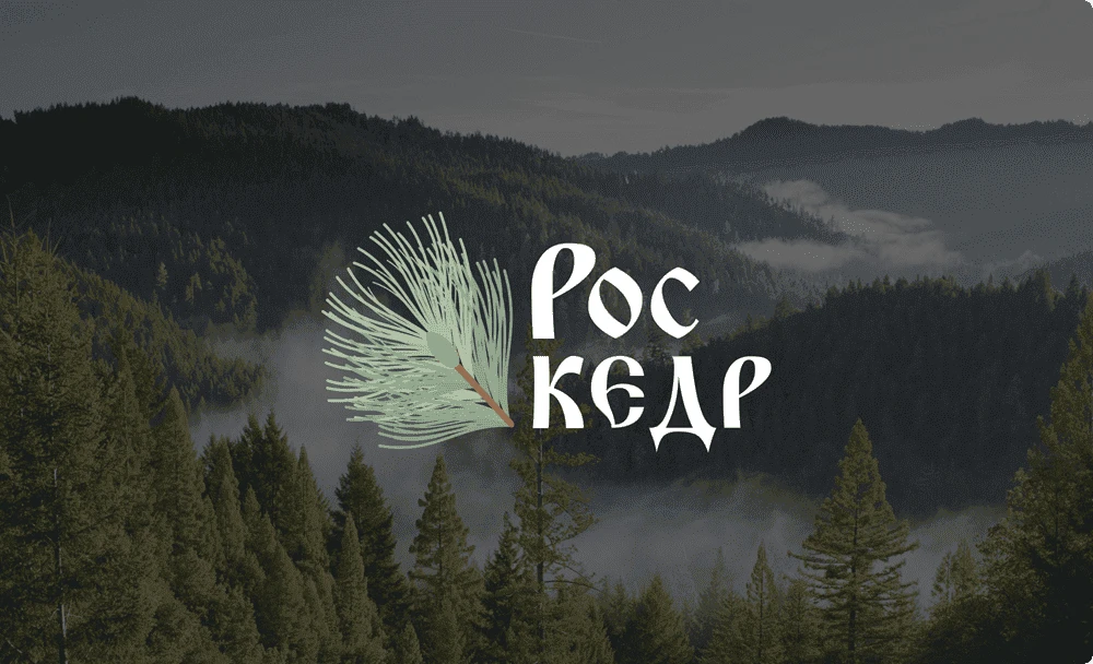 Сайт производственной компании «Роскедр»